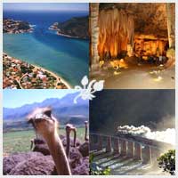 tours garden route